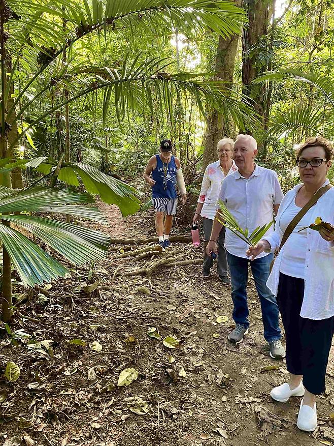 데인트리 열대우림 커넥션 워크 투어