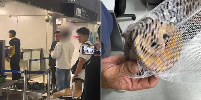 태국 국립공원·야생동식물보호국 페이스북