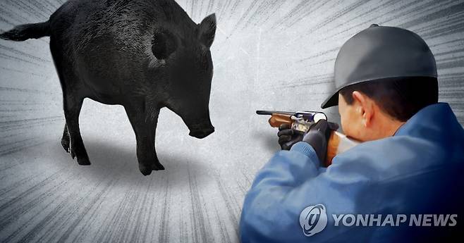 멧돼지 사살 (PG) [정연주 제작] 일러스트