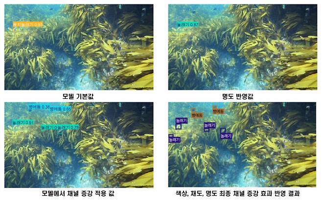 수중 이미지 특성을 고려한 색상과 채도, 명도, 채널 증강 효과 분석을 통한 어류 식별 성능 향상.