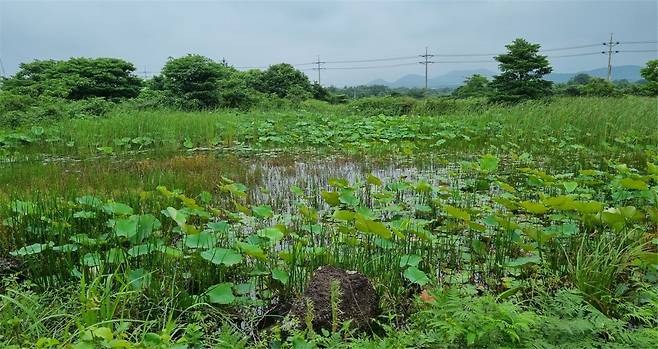 2024년 7월의 모습 / 사진=오은주