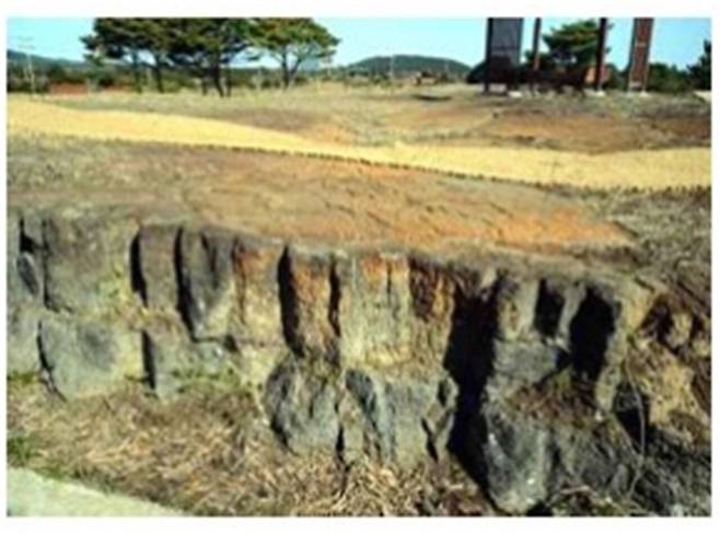 사려물에 드러난 빌레용암류 지형의 모습 / 사진=오은주