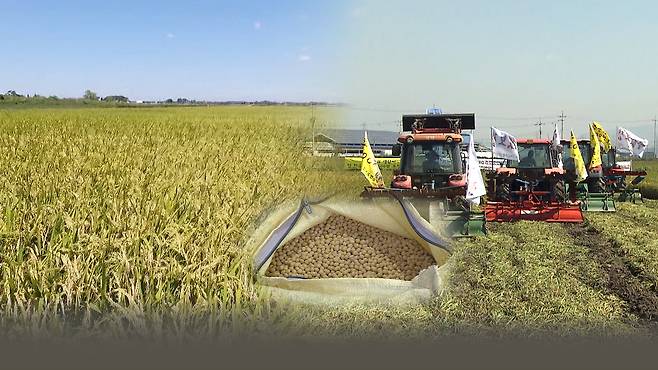 [전주 MBC 자료사진]