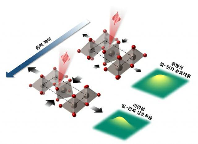루테늄 산화물에 대한 응력 조절을 통한 빛-전자 상호작용의 이방성 조절 흐름도.