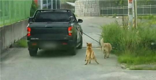 JTBC '사건반장' 갈무리