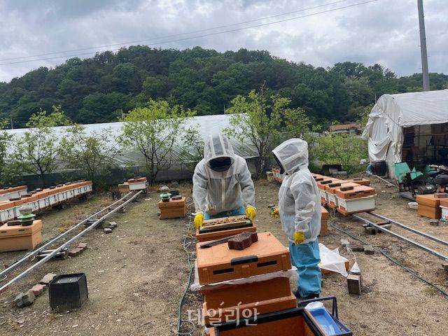 현장 조사 사진. ⓒ농촌진흥청