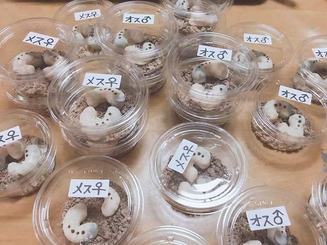 3eb4de21e9d73ab360b8dab04785736f913762bc3561bfb654706ec1cd603b4120248e57efae45f29cbddd0ce2b8b379ebdab05eb0d857220b0c