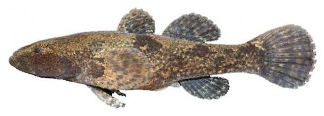 28b9d932da836ff33fe78ee145807064ba31daa5ec1b9148040da28ef8de088c826b