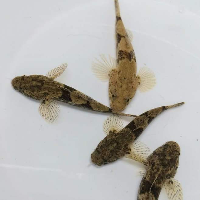 3fb8c32fffd711ab6fb8d38a4785726ca06c396bfe42ce532ae5363fd4f72688ac325679a35b6b077e