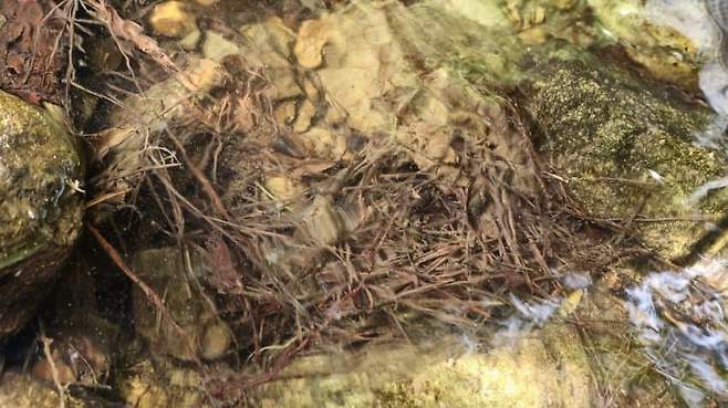 3fb8c32fffd711ab6fb8d38a4788766d4f5ca49dfe4b43a8627fd324383f0eef9ac3735073d80a330f9524a824