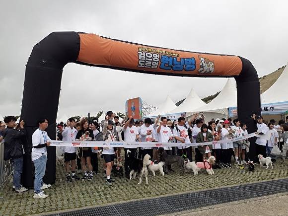 반려동물축제 [사진=제주도]
