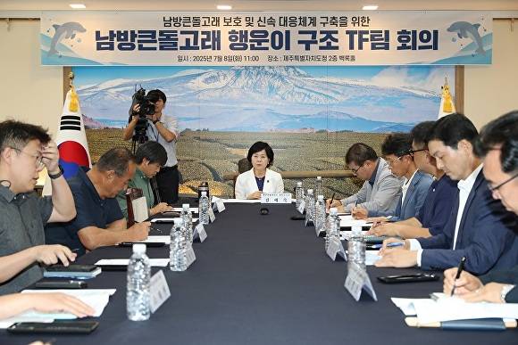 남방큰돌고래 ‘행운이’ 구조 전문가 전담팀(TF) 회의 [사진=제주도]