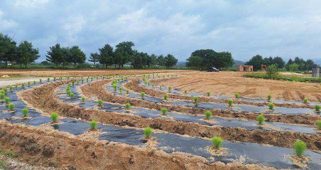 ▲ 철원군은 최근 민통선 내에 위치한 근대문화유적센터에 초화류를 식재하는 등 공원을 조성한다.