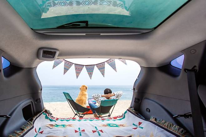 반려견 동반 여행 관련 이미지. 사진=게티이미지뱅크