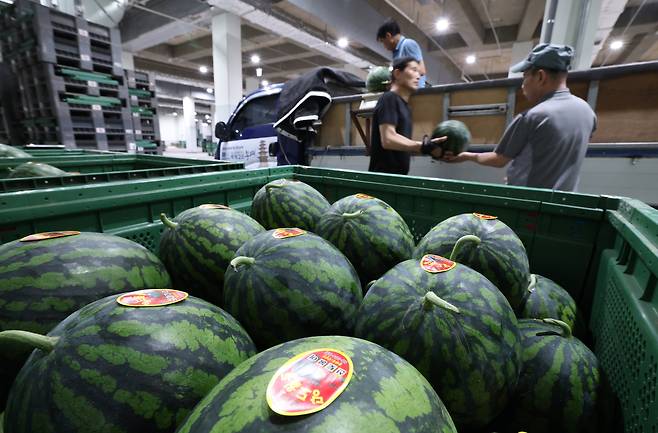 Vendors move watermelons inside the fruit section of a market in Suwon, Gyeonggi on June 23. [NEWS1]