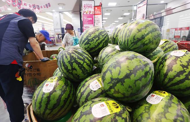 지난 6월 서울 중구 롯데마트 제타플렉스 서울역점에서 시민이 수박을 고르고 있다. [사진 = 연합뉴스]