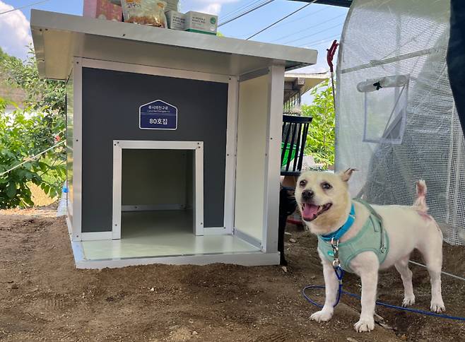 몽실이의 새집/사진=SNC동물메디컬센터