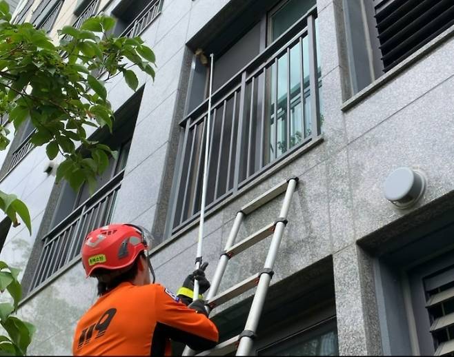 벌집을 제거하고 있는 소방대원. 청주동부소방서 제공