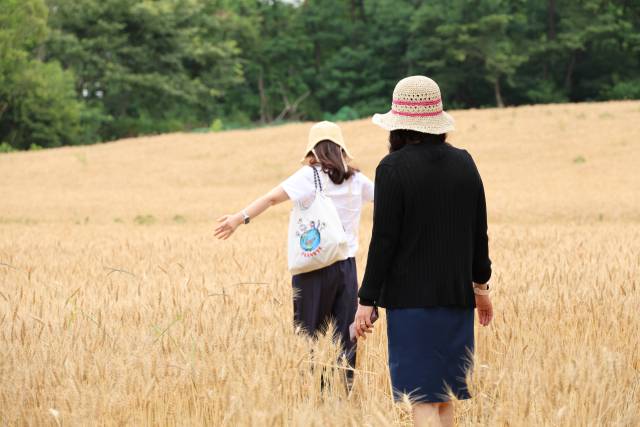 ▲지난 6월 12일 오전 대전 유성구 교촌동에 위치한 성심당 밀밭에서 시민들이 밀을 구경하고 있다. ⓒ연합뉴스