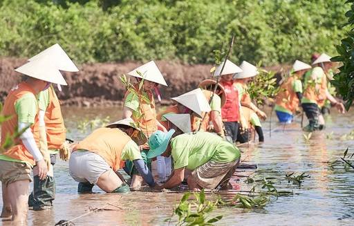 베트남 짜빈성 지역에서 SK이노베이션 구성원과 맹그러브 관계자가 맹그로브 묘목을 심고 있다. SK이노베이션 제공