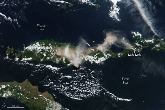 지난 7일 NASA 수오미 NPP 위성으로 촬영한 르워토비 화산 분화 후 화산재 이동 모습. NASA Earth Observatory