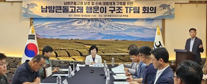 제주도는 8일 오전 11시 도청 2층 백록홀에서  행정, 해양생태, 수의, 어구·어법 분야 전문가 등 총 11명 전담팀(TF)이 참석한 가운데 남방큰돌고래 행운이 구조 TF팀 회의를 개최했다. 제주 강동삼 기자