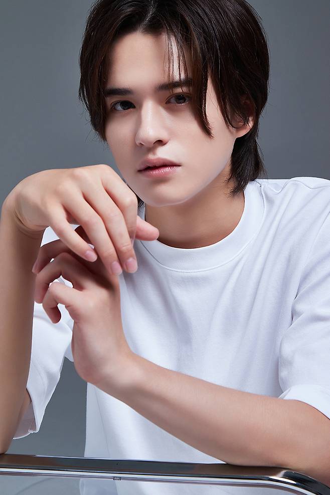 링컨. 사진|에코글로벌그룹