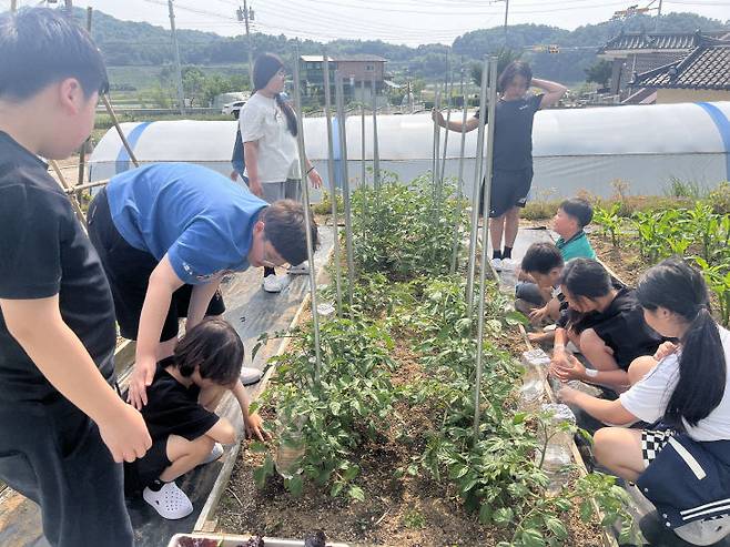 농촌체험농장 연계 늘봄프로그램을 통해 텃밭 활동을 하는 금당초 학생들 모습. /충남교육청 제공