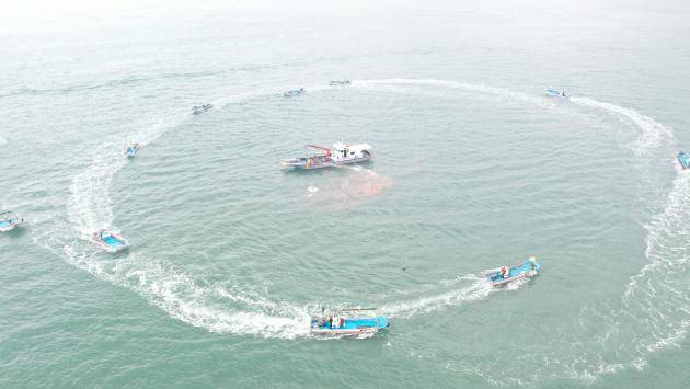 <광주일보 자료사진>