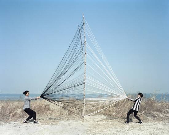 박형렬 作 '포획된 자연_나무#4'.