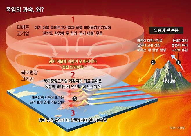 그래픽=김성규