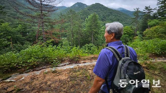 박도현 씨가 전북 완주군 동상면 모래봉에서 자신이 가꾼 숲을 둘러보고 있다. 1960년부터 이곳에 부친과 함께 나무를 심기 시작한 박 씨는 벌거숭이였던 산을 183ha 규모의 울창한 숲으로 키워 ‘임업직불금’을 3년간 1400만 원 수령했다. 완주=임재혁 기자 heok@donga.com