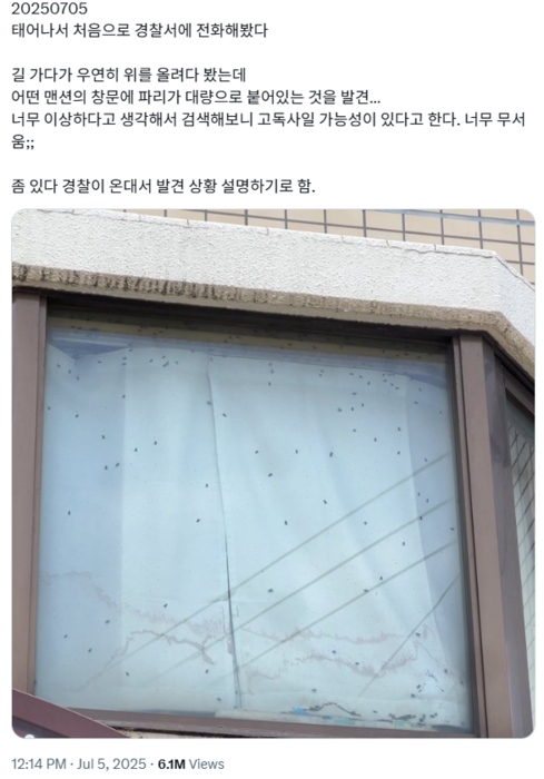 일본에서 거주하는 한국인 인플루언서가 창문 안쪽에 붙은 파리떼를 보고 경찰에 신고했다고 밝혔다. 사진=엑스(@chuba_japan) 캡처