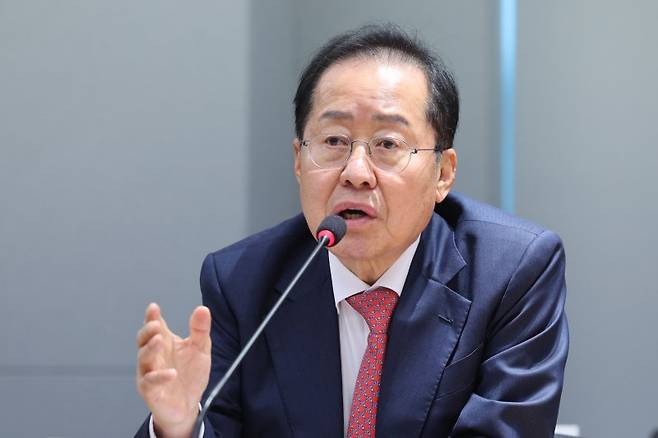 홍준표 전 대구시장 /사진=뉴스1