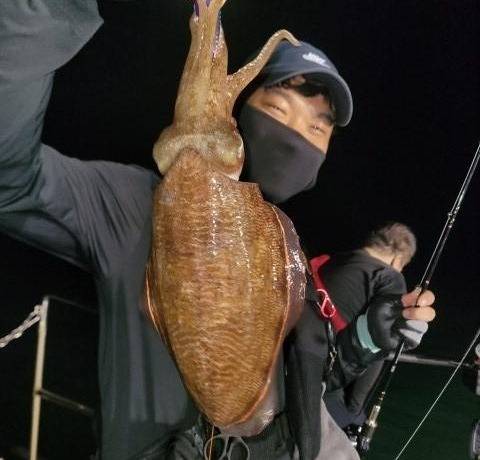 사량도·욕지도 부근서 낚은 무늬오징어.