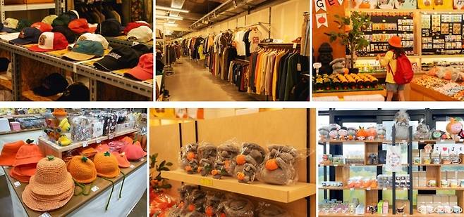 다양한 제주 기념품 / 사진=제주관광공사