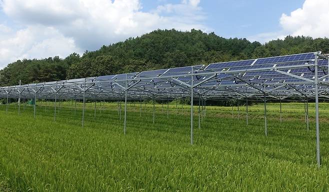 영농형 태양광 발전 [사진 = 전남도]