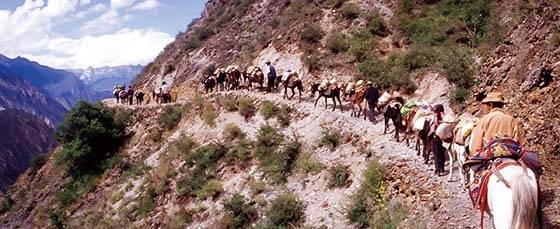 차마고도는 평균 해발고도 4000m 이상의 험준한 길이 5000㎞가량 이어진다.