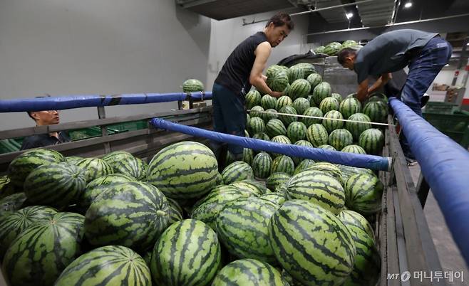 경기 수원시 권선구 수원농수산물도매시장 과일동에서 상인들이 수박을 옮기고 있다.  /사진=(수원=뉴스1)