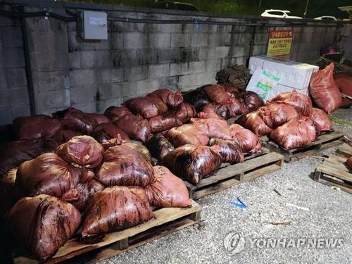 2024년 6월 배출된 고래 창자 [전국민주연합노동조합 제공. 재판매 및 DB 금지]