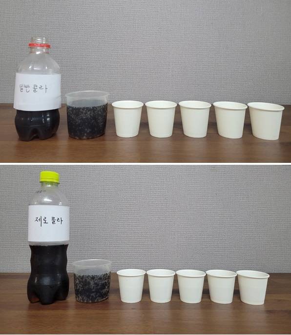 일반 콜라와 제로 콜라를 각각 5개의 소주잔에 나눠 담았다.