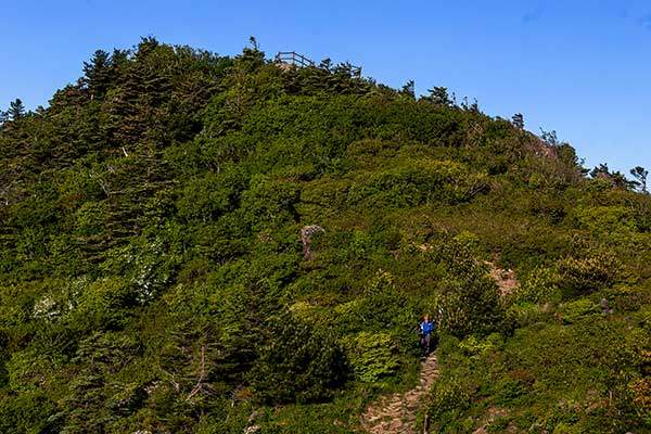 연하선경의 뒷편. 푸르름이 가득하다.