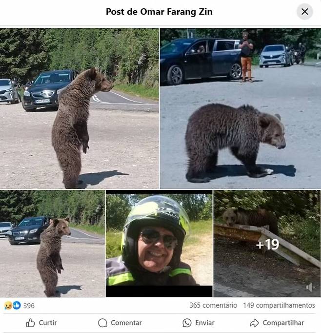 루마니아에서 야생 곰 사진을 찍어 소셜미디어에 게시하던 이탈리아 관광객. 출처=오마르 파랑 진 페이스북