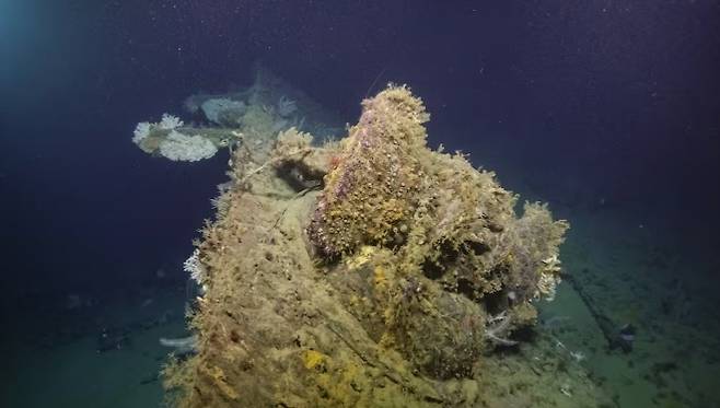 산호 등 각종 해양 생물로 뒤덮인 USS 뉴올리언스의 함수 부분. Ocean Exploration Trust/ Nautilus Live, NOAA