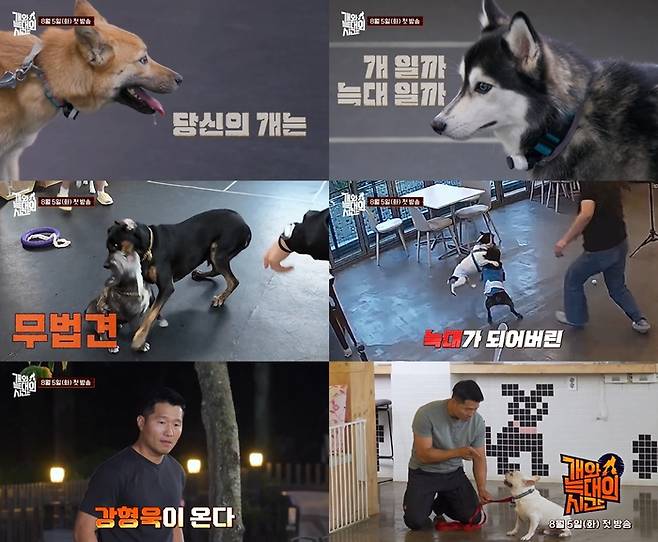 강형욱. 사진|채널A