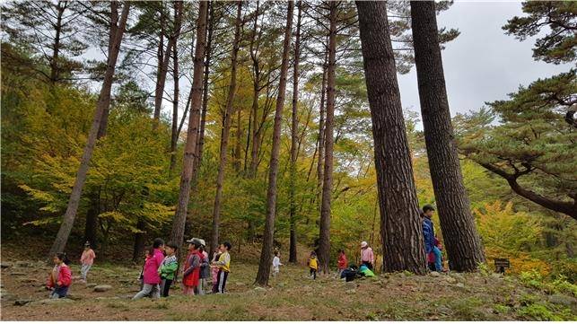 울진 금강송 산지농업시스템 [농림축산식품부 제공. 재판매 및 DB금지]