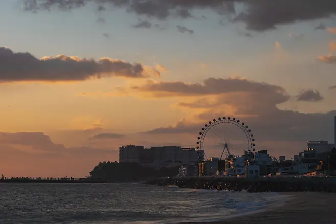 0490f719b7846cf520a8d3b706f11a39ba4d499fe41ca6c7fc9f