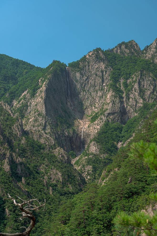 098ef319b48068f420b5c6b011f11a39727152431d04f0411480d5