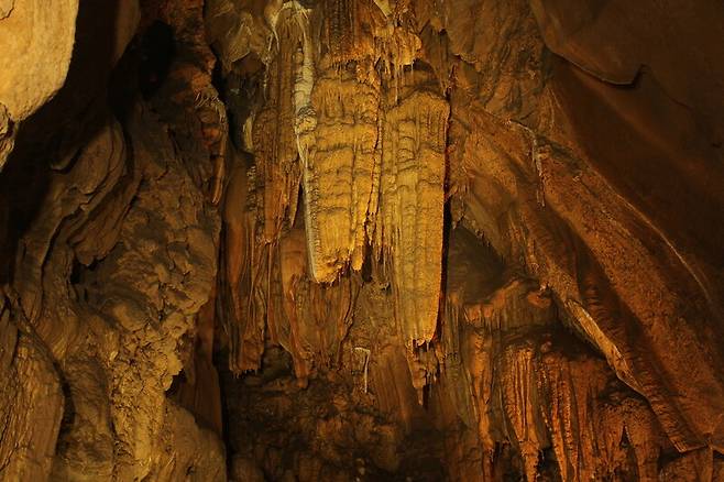 동굴에는 다양한 모양의 종유석이 생성된다. 대금굴에 있는 옥수수 모양의 종유석. 삼척시 제공