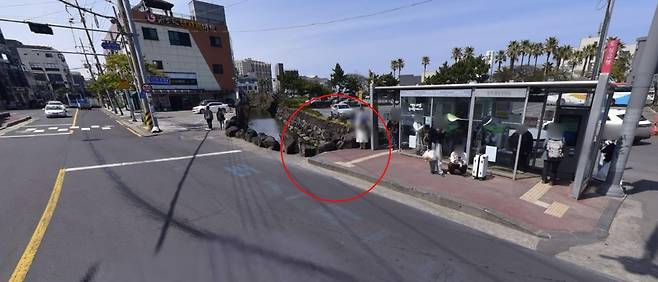 중국인 관광객으로 추정되는 남자아이가 소변을 본 지점. (네이버 지도 갈무리)